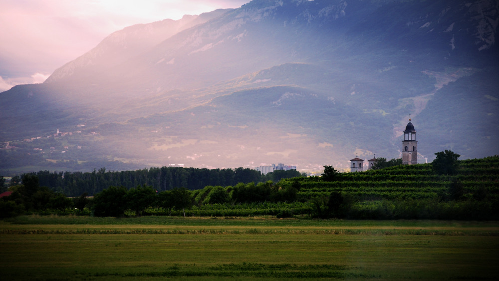 Portfolio Image